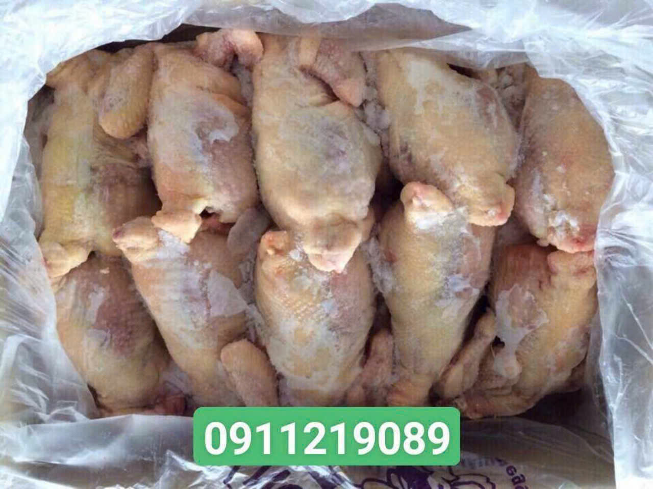 Gà Nguyên Con Đông Lạnh – Giá Tốt, Chất Lượng Cao